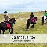 Bio Wichtelweide - Lichtblick Fehmarn