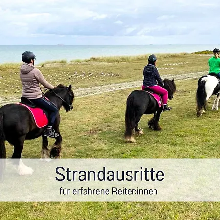 Bio Wichtelweide - Lichtblick Fehmarn