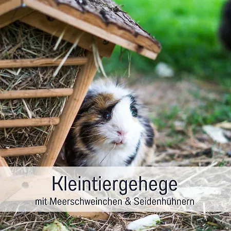 Holiday home Bio Wichtelweide - Lichtblick Fehmarn