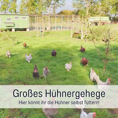 Dom wakacyjny Bio Wichtelweide - Lichtblick Fehmarn