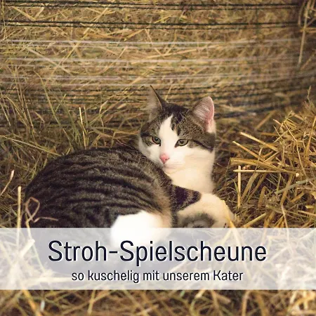 Dom wakacyjny Bio Wichtelweide - Lichtblick