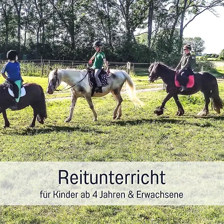 Dom wakacyjny Bio Wichtelweide - Lichtblick Fehmarn