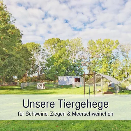 Holiday home Bio Wichtelweide - Lichtblick *