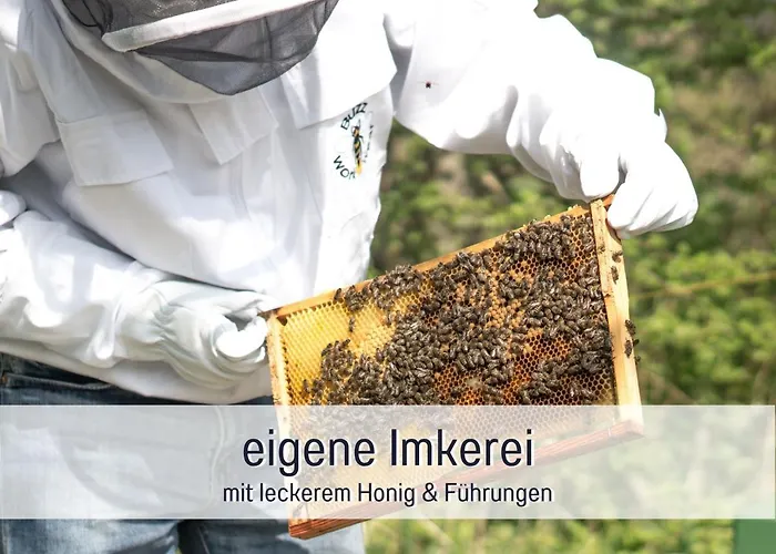 Bio Wichtelweide - Lichtblick 度假居 *