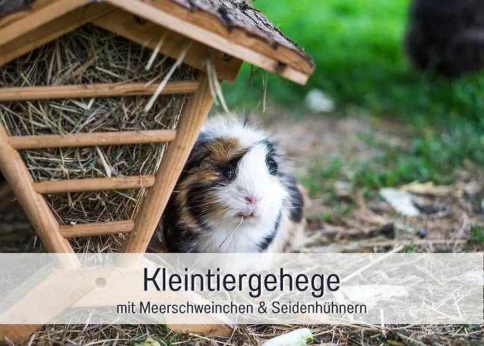 度假居 Bio Wichtelweide - Lichtblick 费马恩