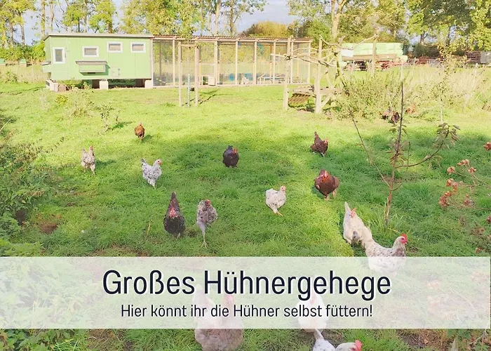 度假居 Bio Wichtelweide - Lichtblick 费马恩