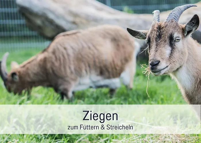 Bio Wichtelweide - Lichtblick 度假居