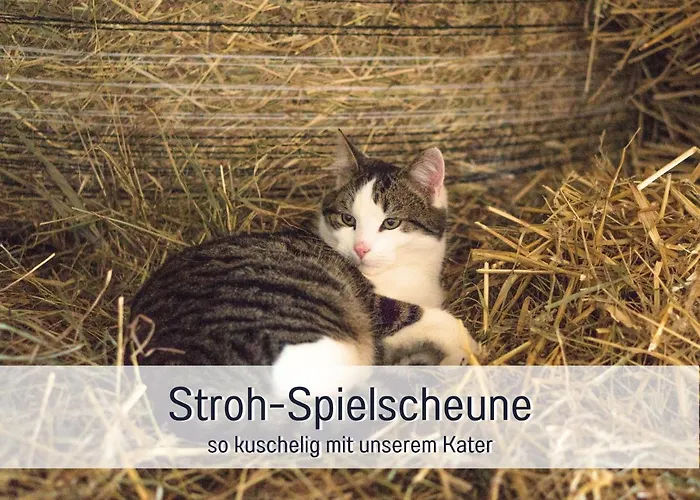 度假居 Bio Wichtelweide - Lichtblick