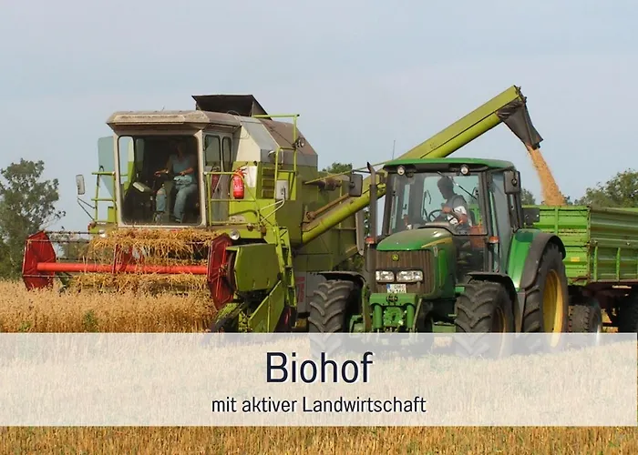 Bio Wichtelweide - Lichtblick 度假居