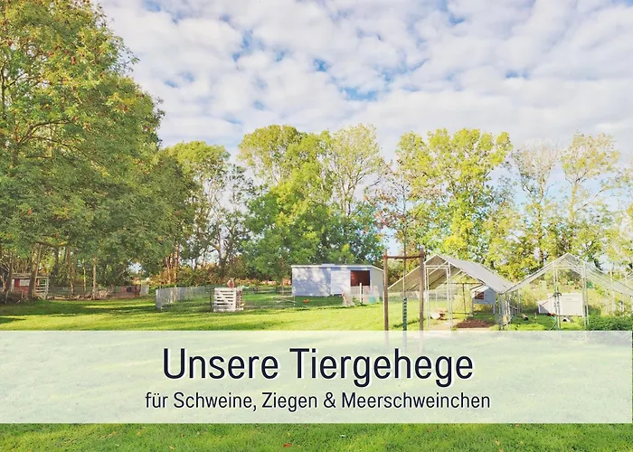 度假居 Bio Wichtelweide - Lichtblick *